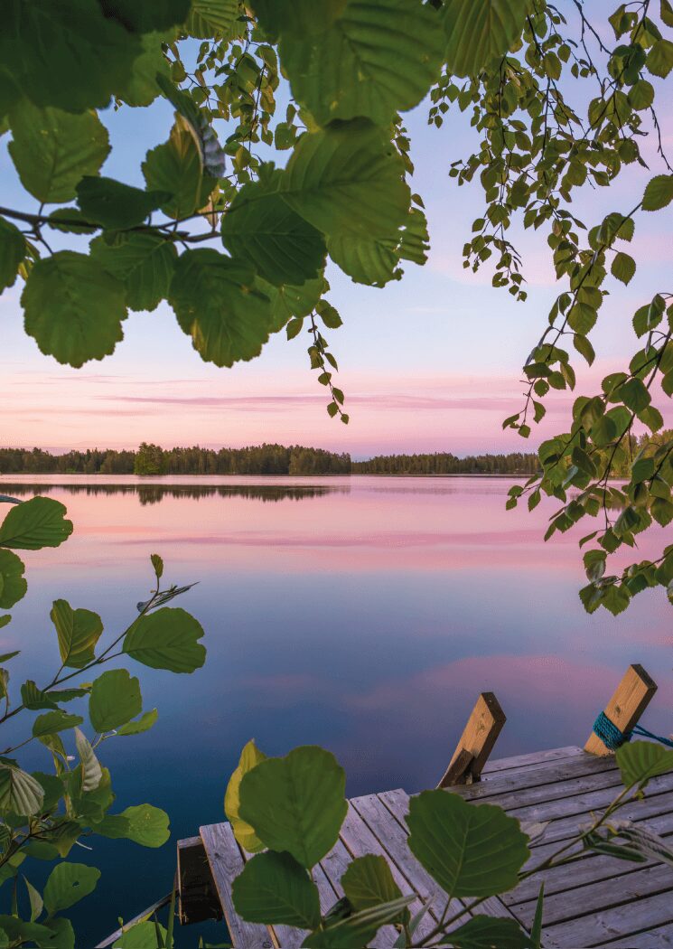394 - Jukka Risikko - Kesäyö