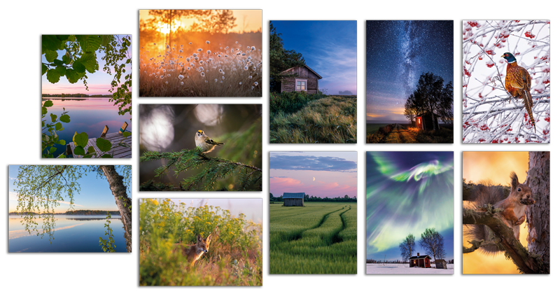 Jukka Risikko - Artist of the Year Special Pack