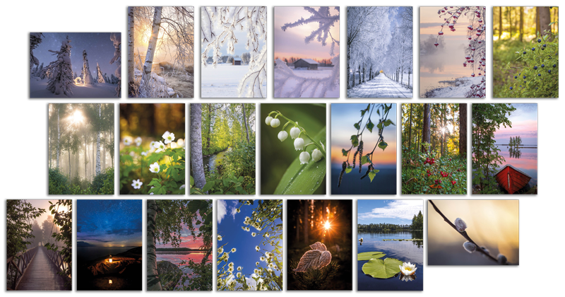 Jukka Risikko - Scenic Special Pack