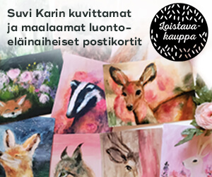 Suvi Kari 300x250 mainosbanneri